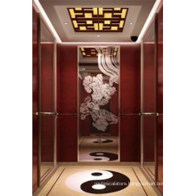 High Efficient Personalized Comfortable Passenger Elevator